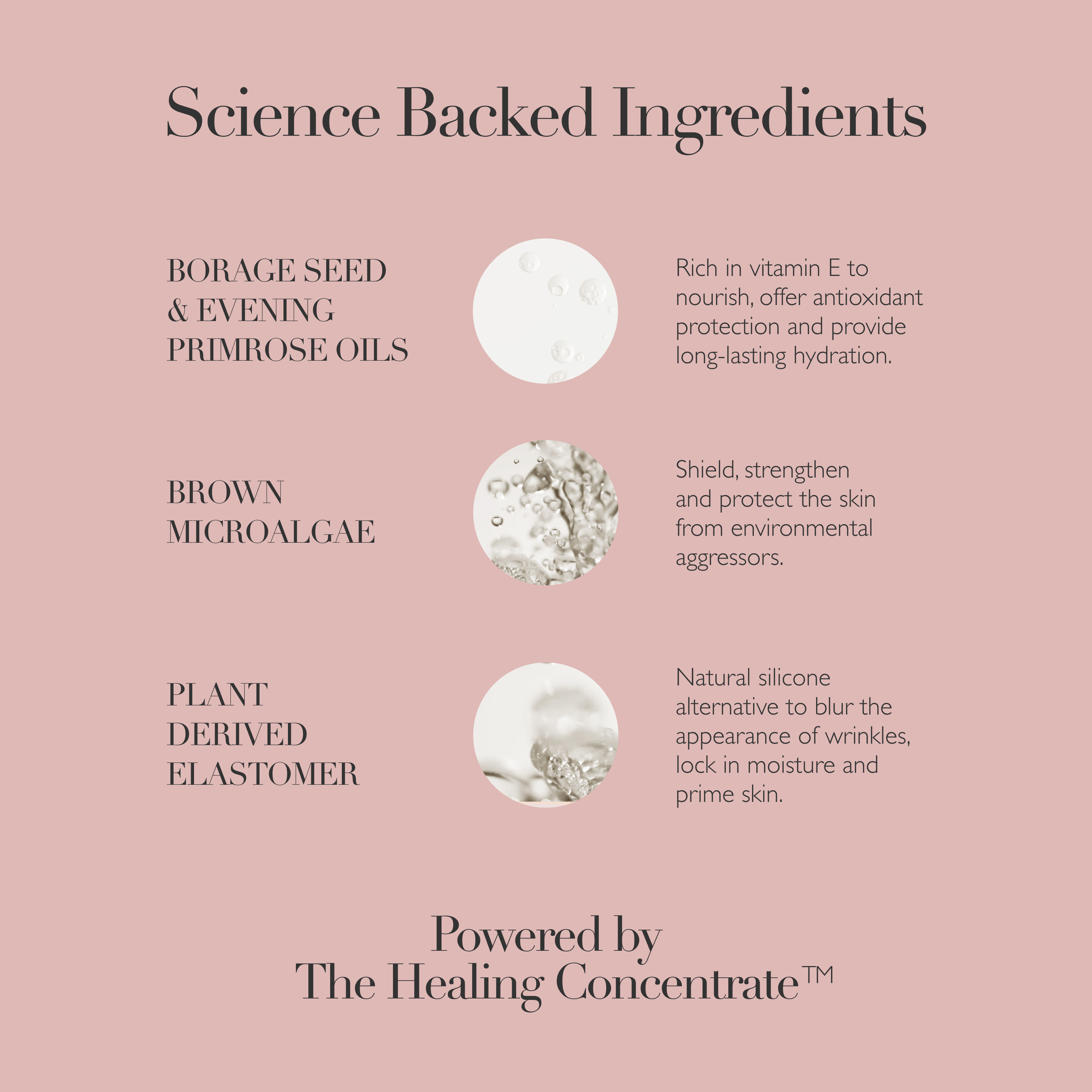 Omorovicza Queen Cream | Space NK
