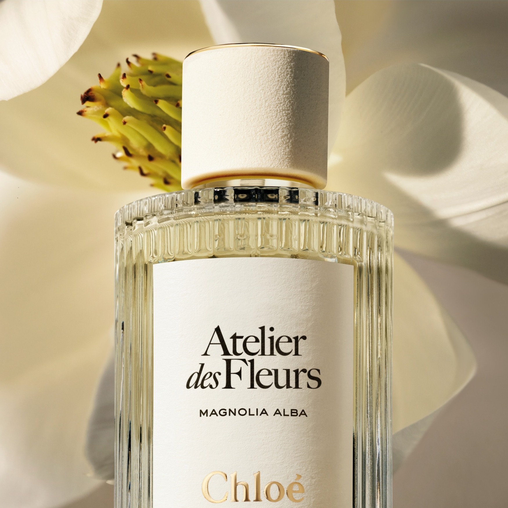 Chloé Atelier des Fleurs Magnolia Alba Eau de Parfum | Space NK