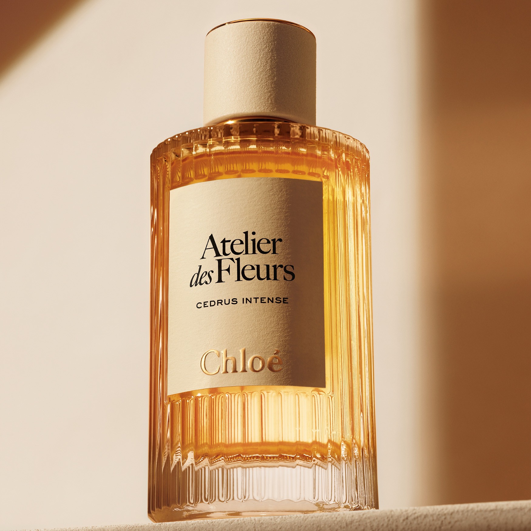 新品 Chloe Cedrus 香水 セット Atelier des Fleurs Cedrus Intense Eau de Parfum 5.1 fl oz - Chloé
