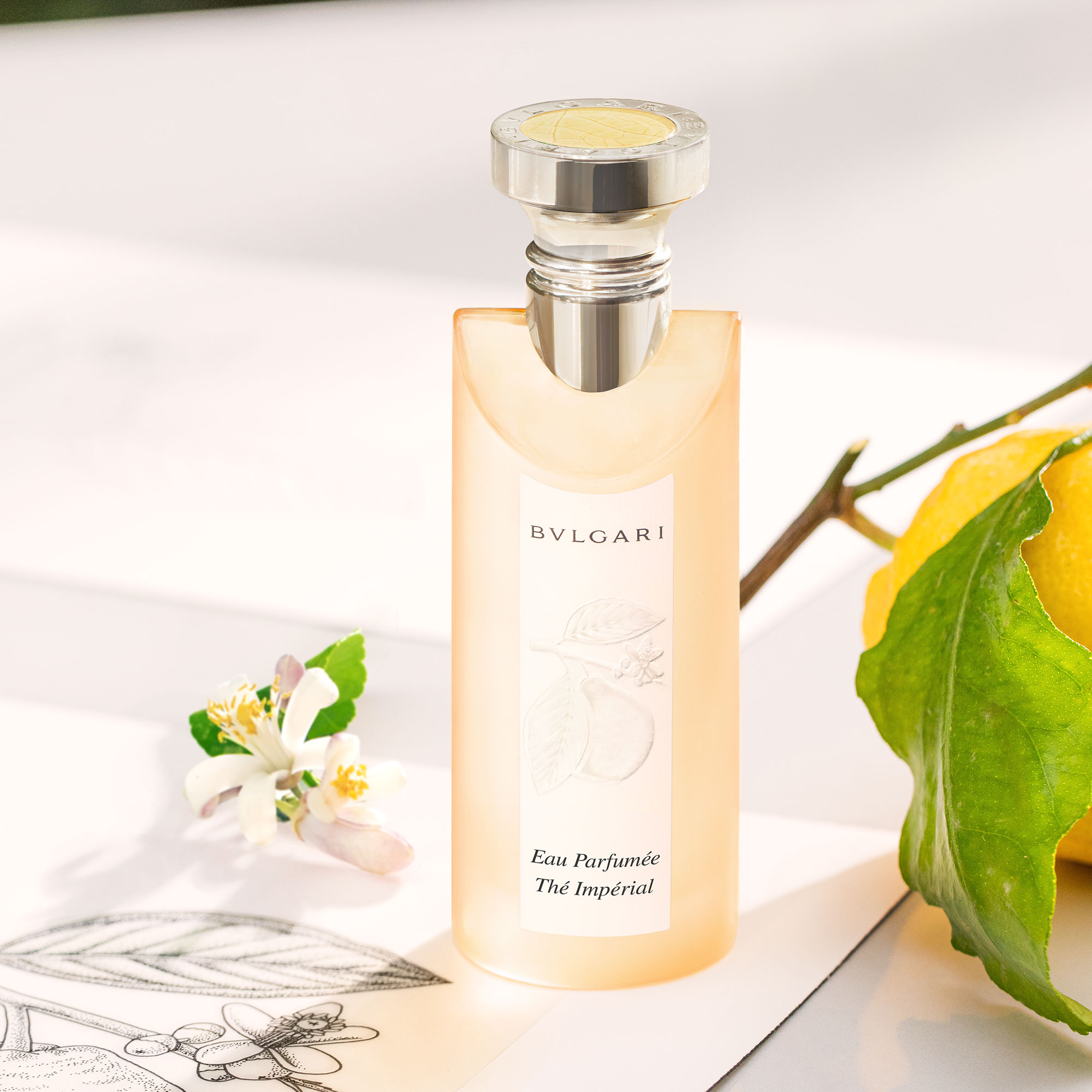BULGARI Thé Impérial Eau De Toilette | Space NK