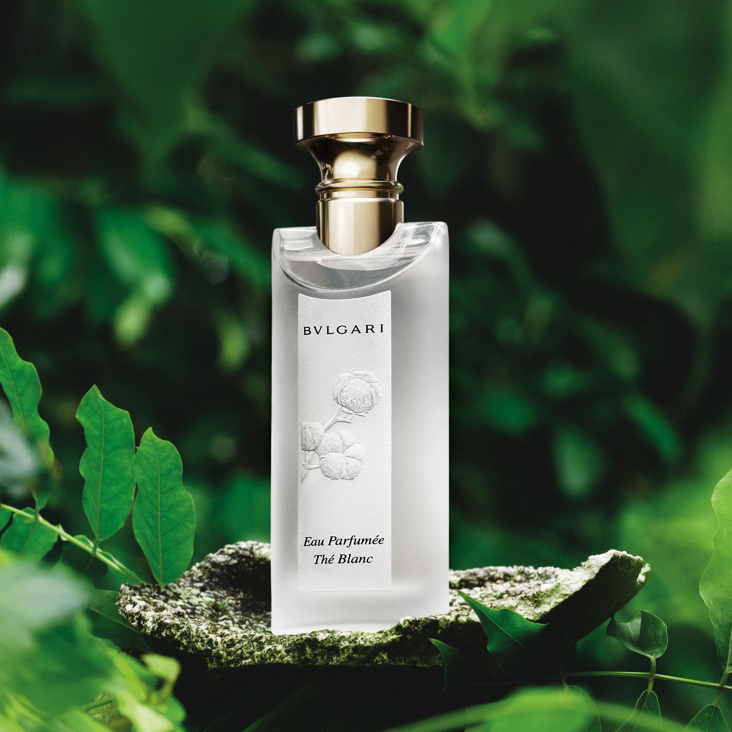 BULGARI Eau Parfumée Thé Blanc Eau de Toilette | Space NK