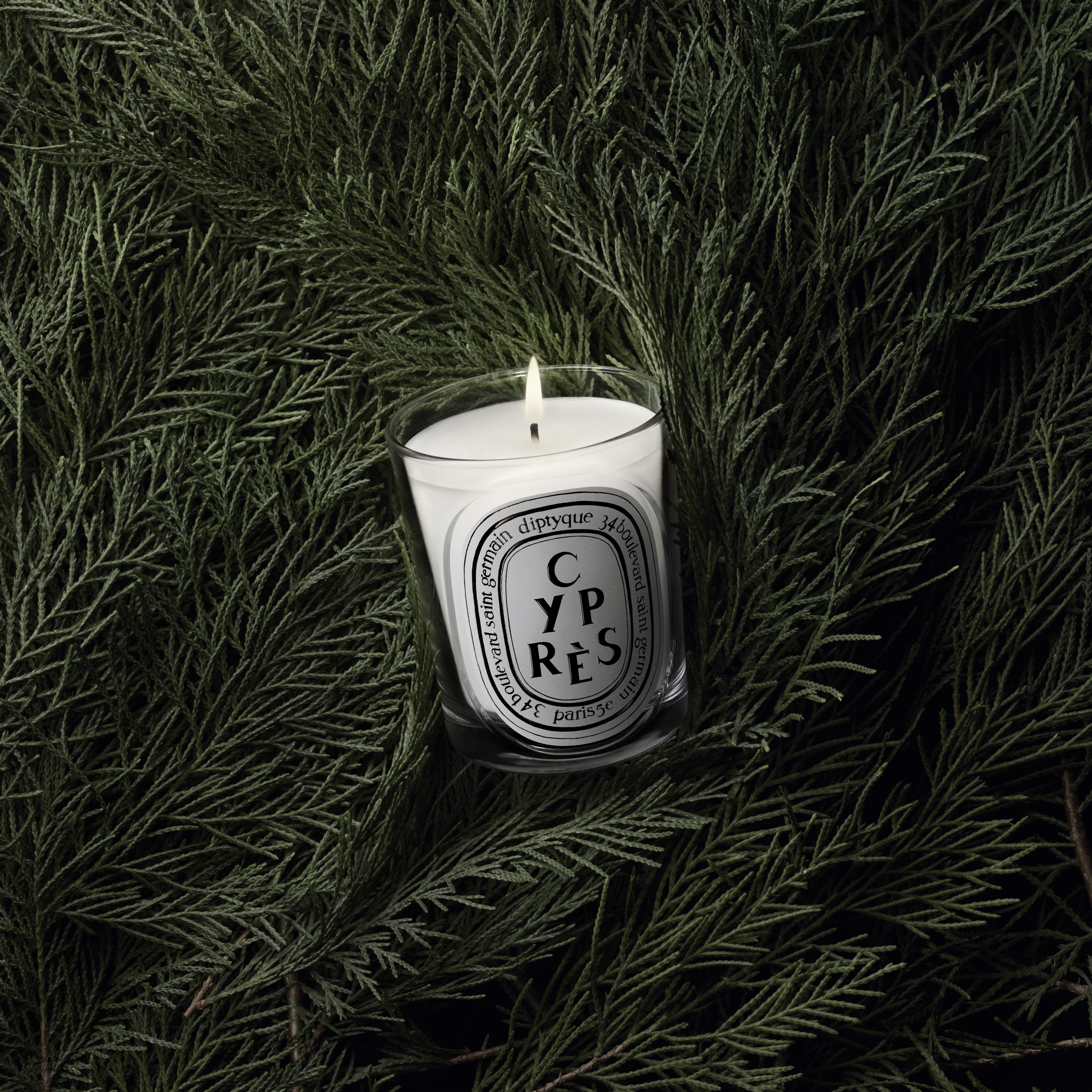 Diptyque Cyprès Classic Candle 190g | Space NK