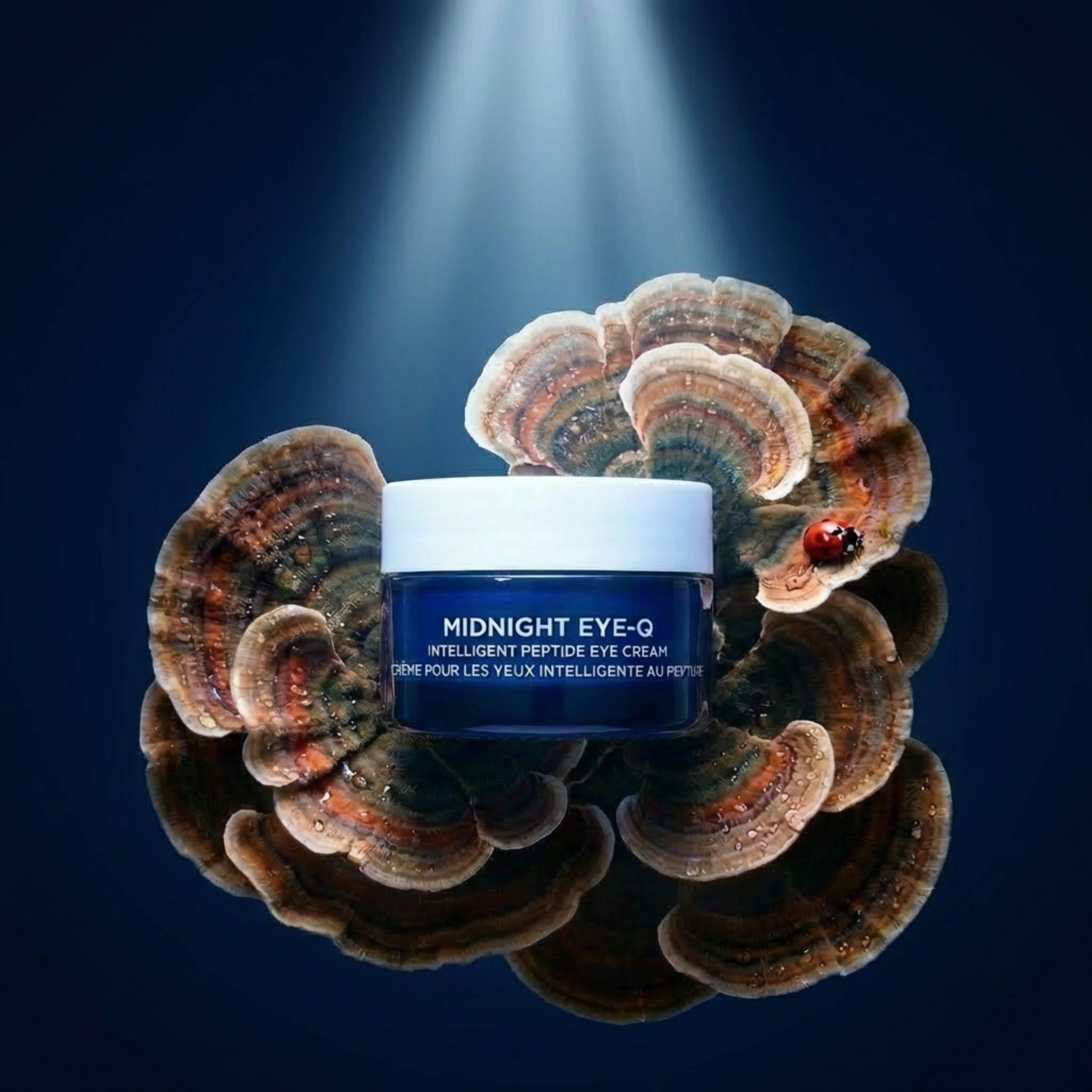 Oskia Midnight Eye-Q Intelligent Peptide Eye Cream | Space NK