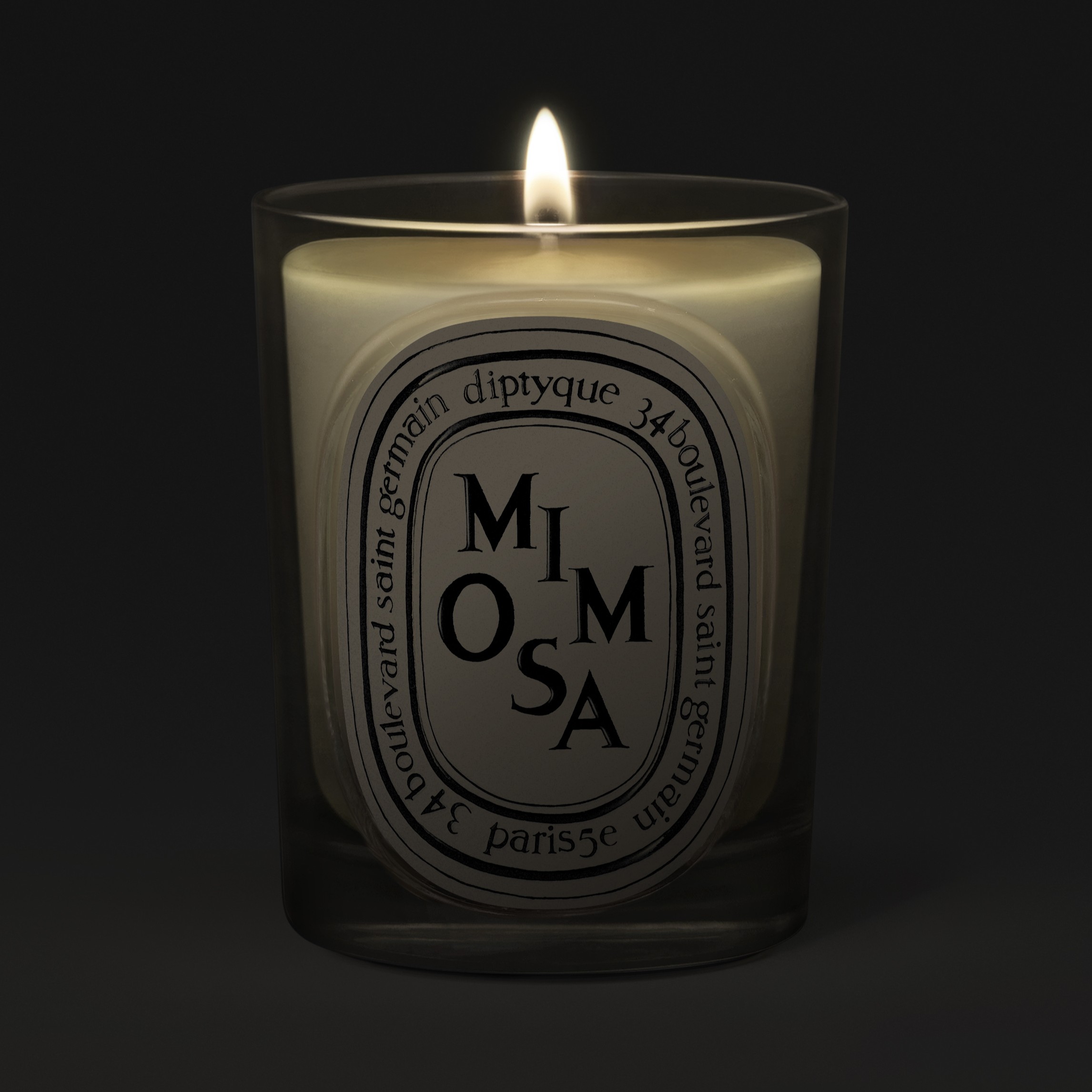 Diptyque Mimosa Classic Candle 190g | Space NK