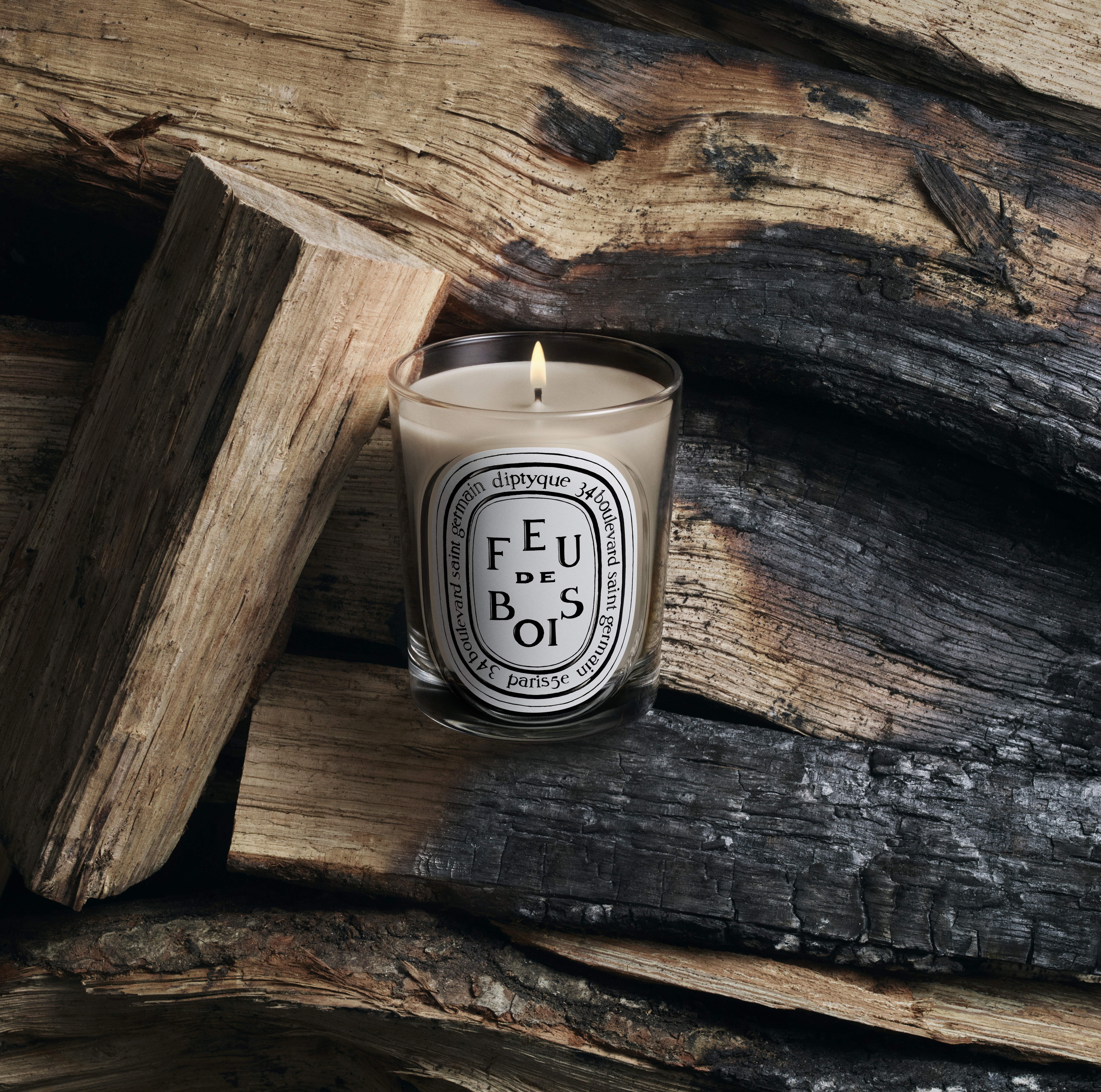 Diptyque Feu de Bois Classic Candle 190g | Space NK