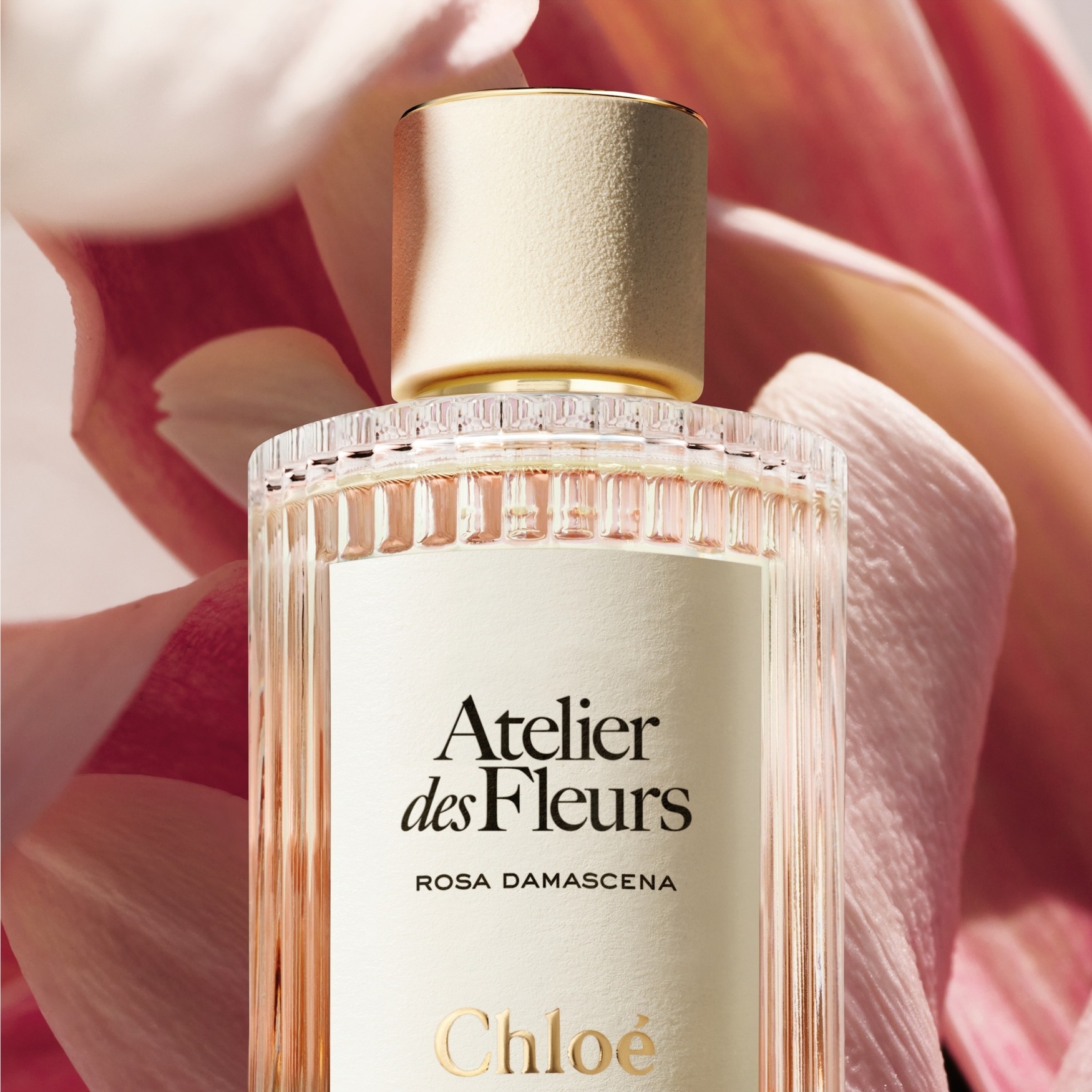 Chloé Atelier des Fleurs Rosa Damascena Eau de Parfum | Space NK