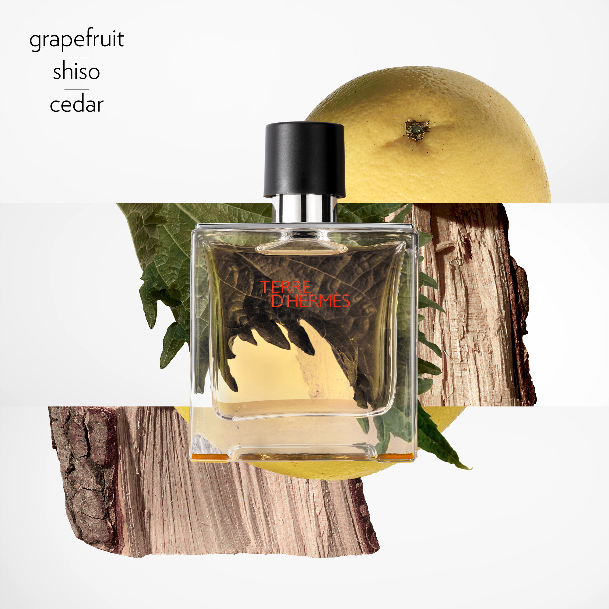 Hermès Terre d'Hermès Parfum | Space NK