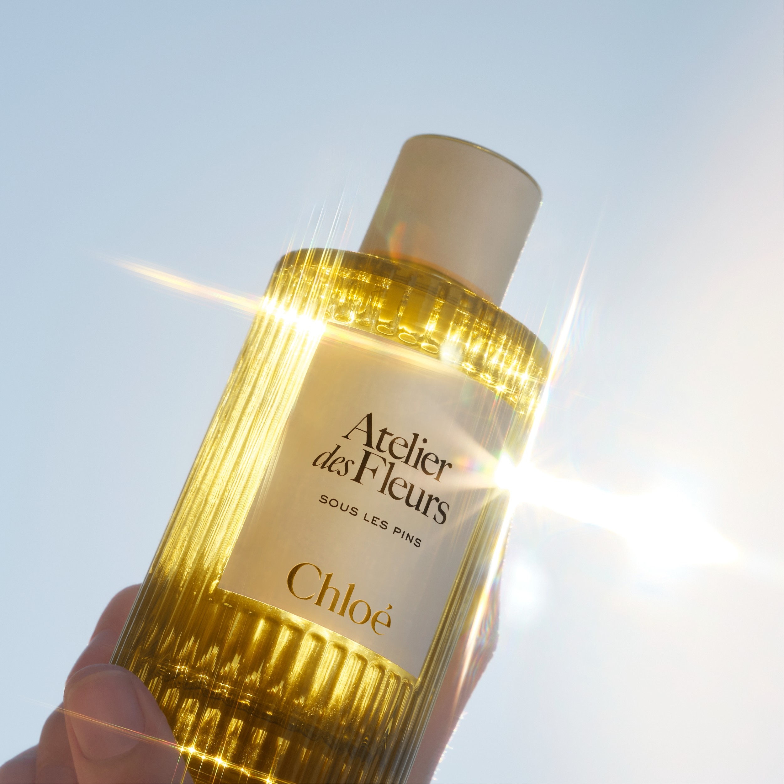 Chloé Sous les Pins Eau de Parfum | Space NK