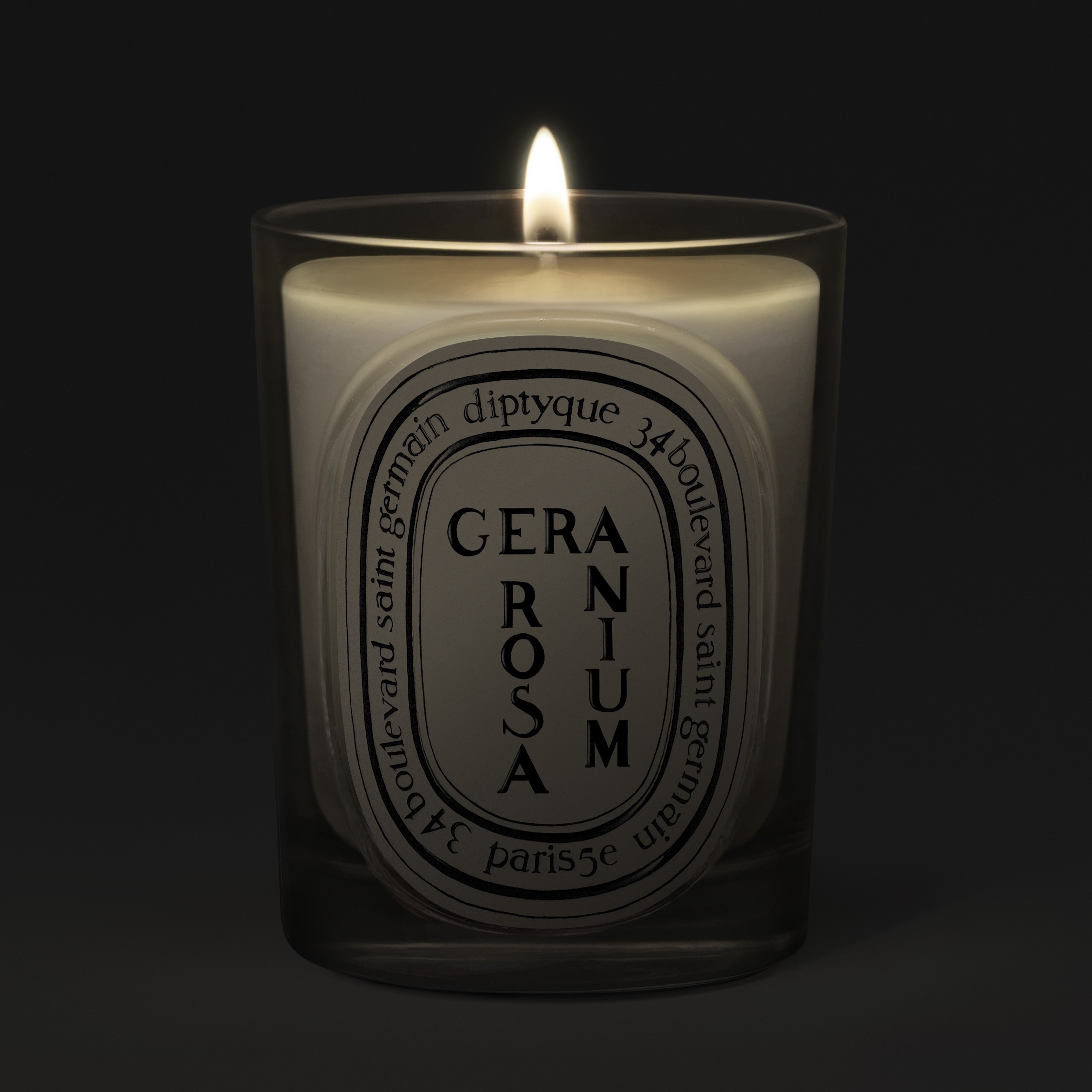 Diptyque Geranium Rosa Classic Candle 190g | Space NK