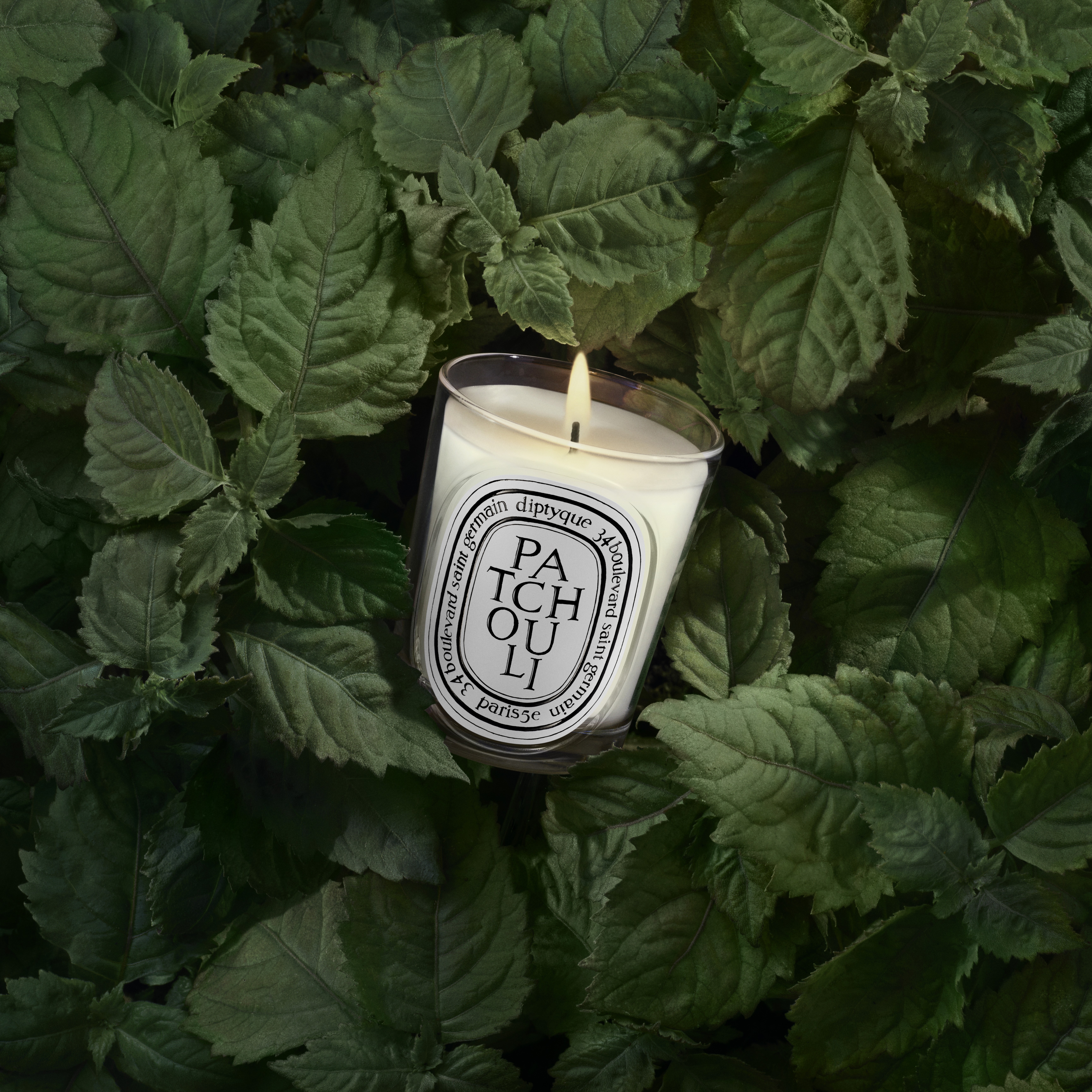 diptyque PATCHOULI アロマキャンドル 190g Diptyque Patchouli Classic Candle 190g | Space NK