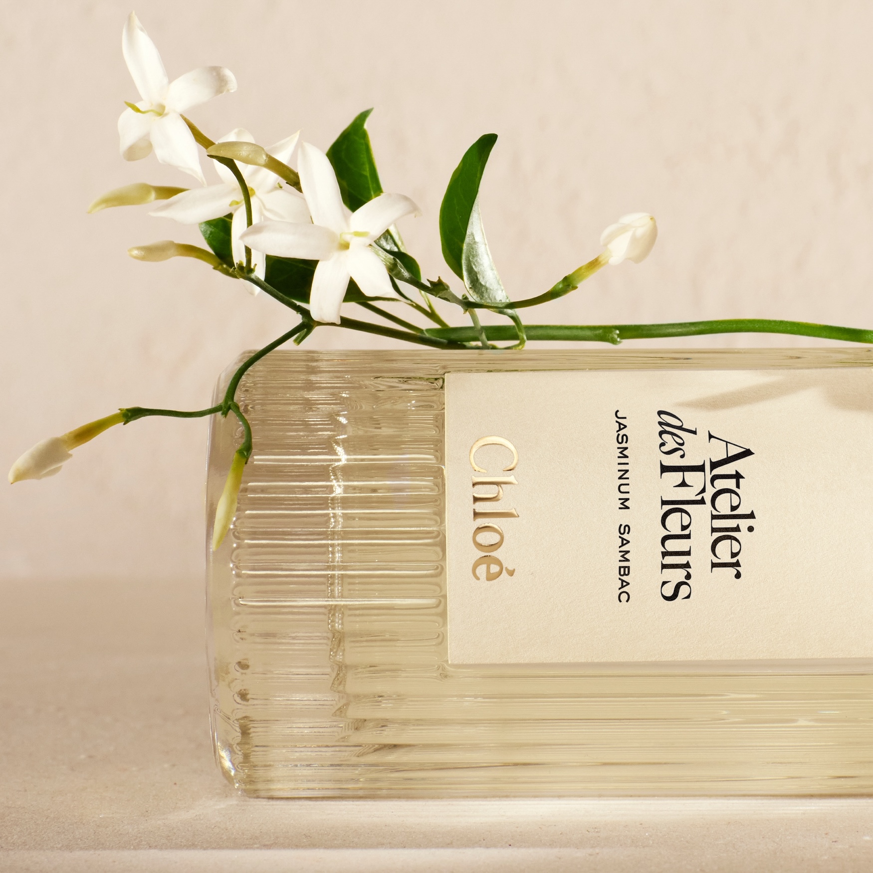 香水(女性用) Atelier des Fleurs Jasminum Sambac Chloé Atelier des Fleurs Jasminum Sambac Eau de Parfum | Space NK