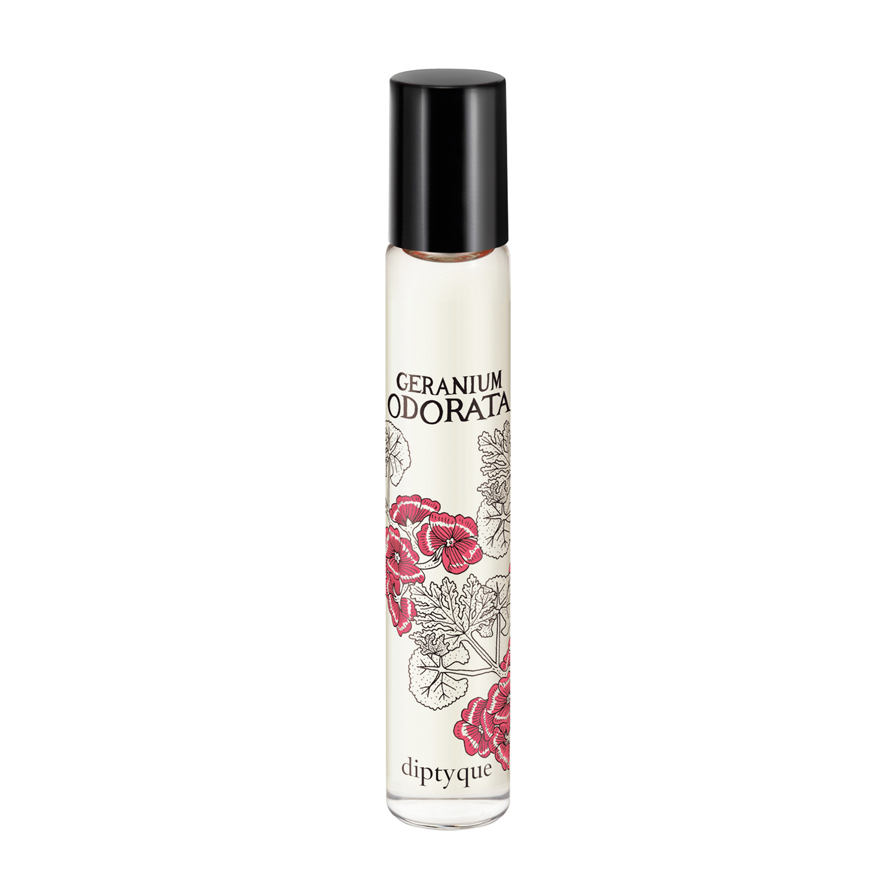 Geranium new arrivals odorata perfume
