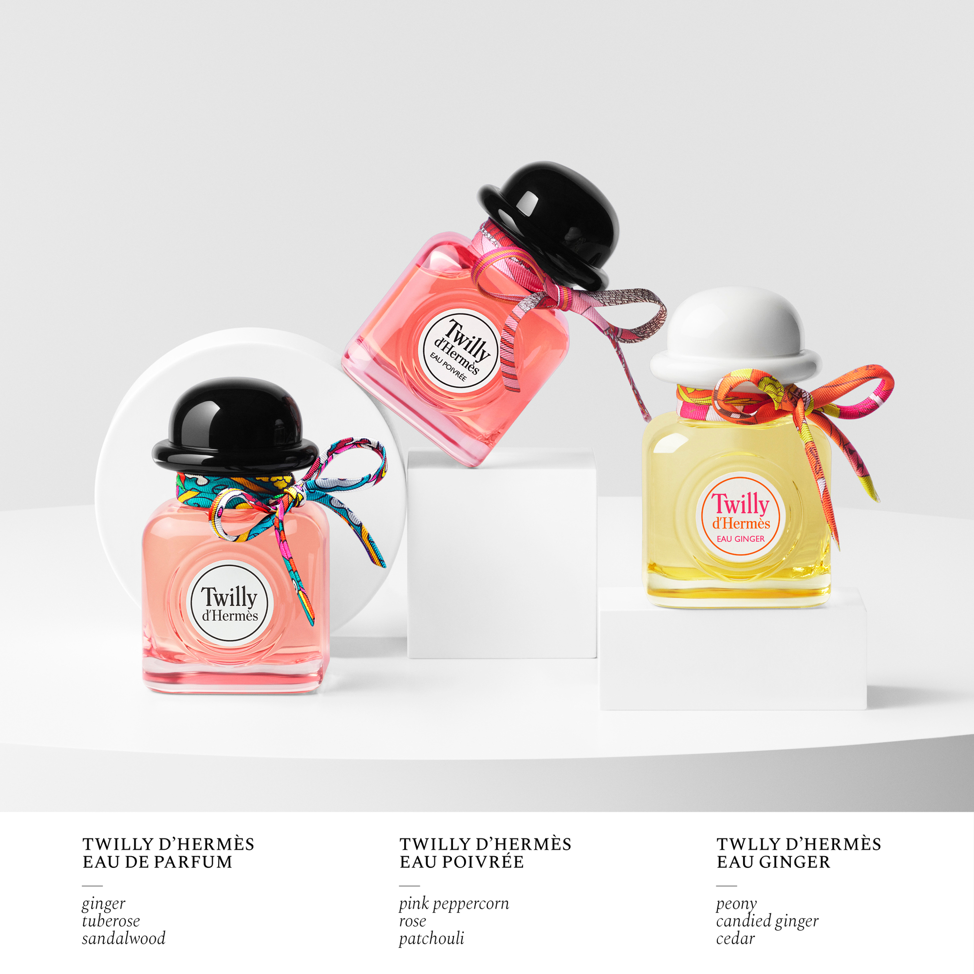 Hermès Twilly Eau Ginger Eau de Parfum | Space NK