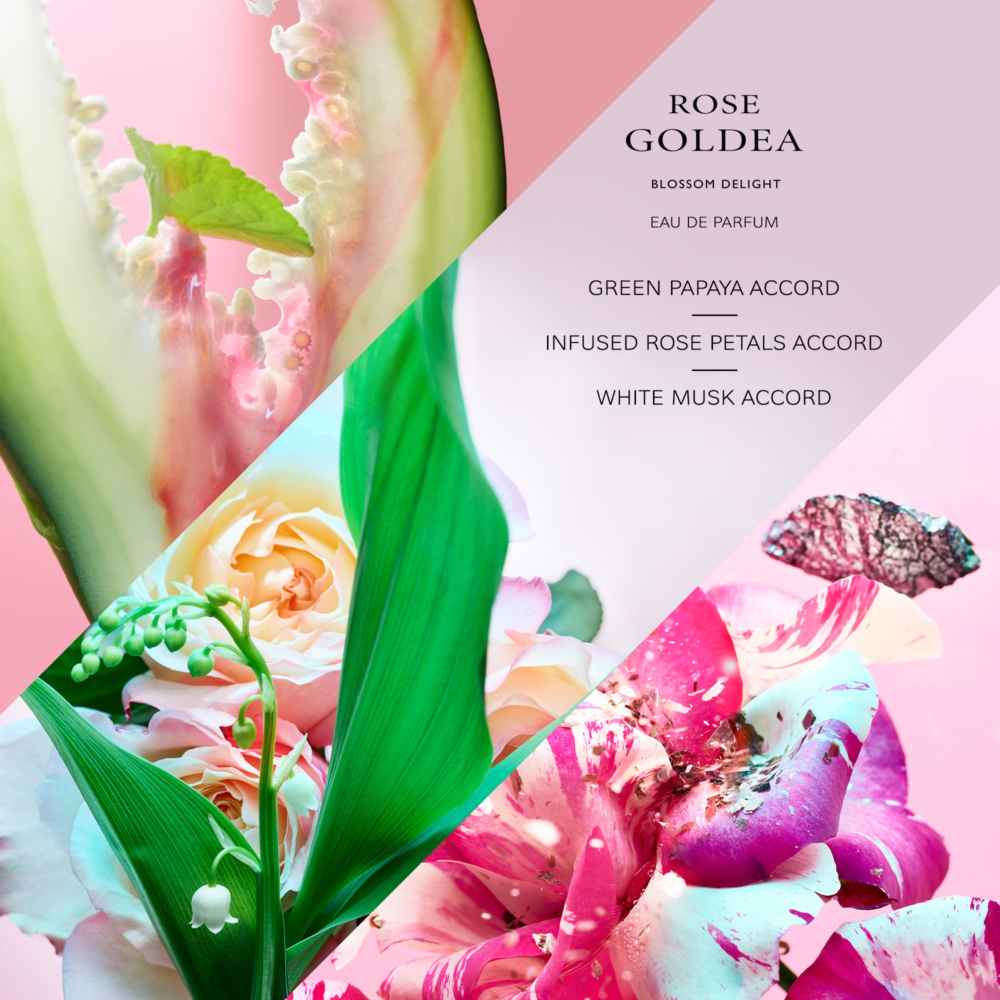 早い者勝ちBvlgari Rose Goldea Blossom Delight Unlock the Beauty of Nature-Bvlgari Rose Goldea Blossom Delight