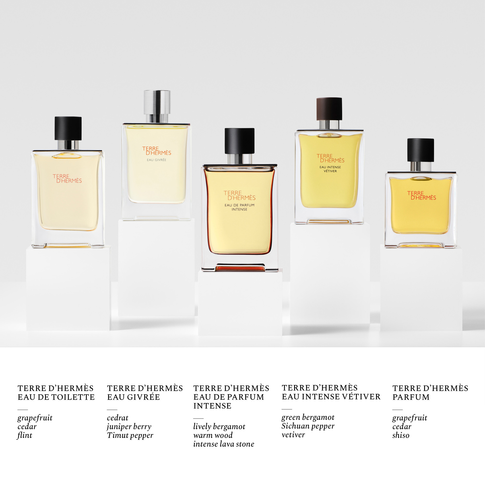 Hermès Terre d'Hermès Eau Intense Vétiver Eau de Parfum | Space NK