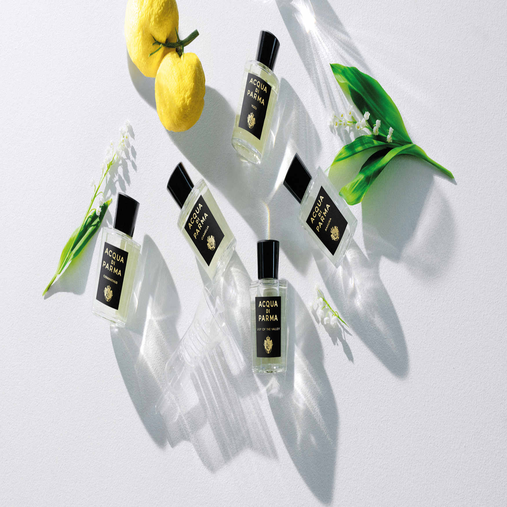 Acqua Di Parma Signatures of the Sun Lily of the Valley Eau de 