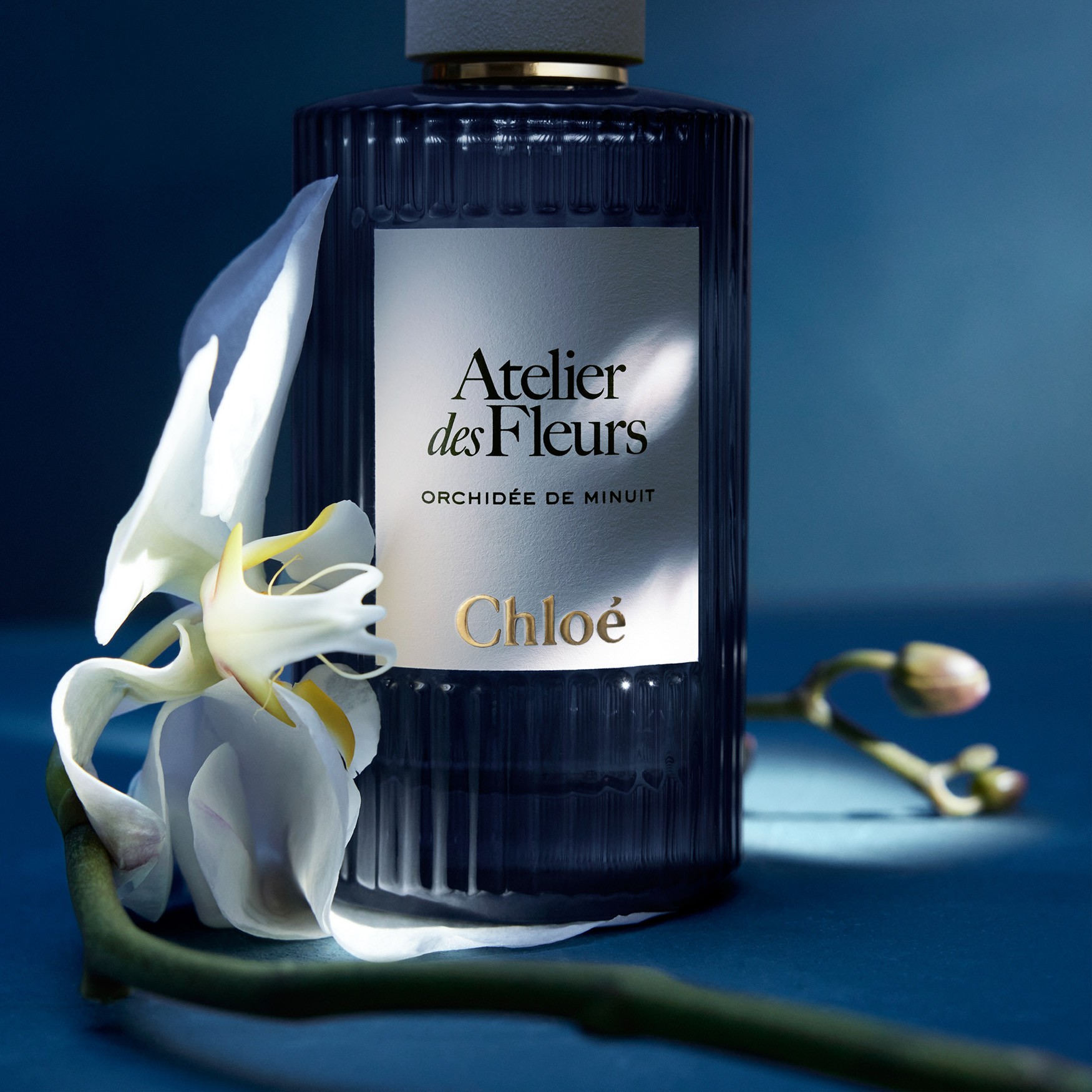 Chloé Atelier des Fleurs Orchidée de Minuit Eau de Parfum | Space NK