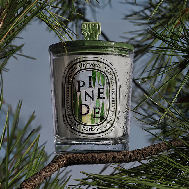 Diptyque Pinède Classic Candle 190g | Space NK