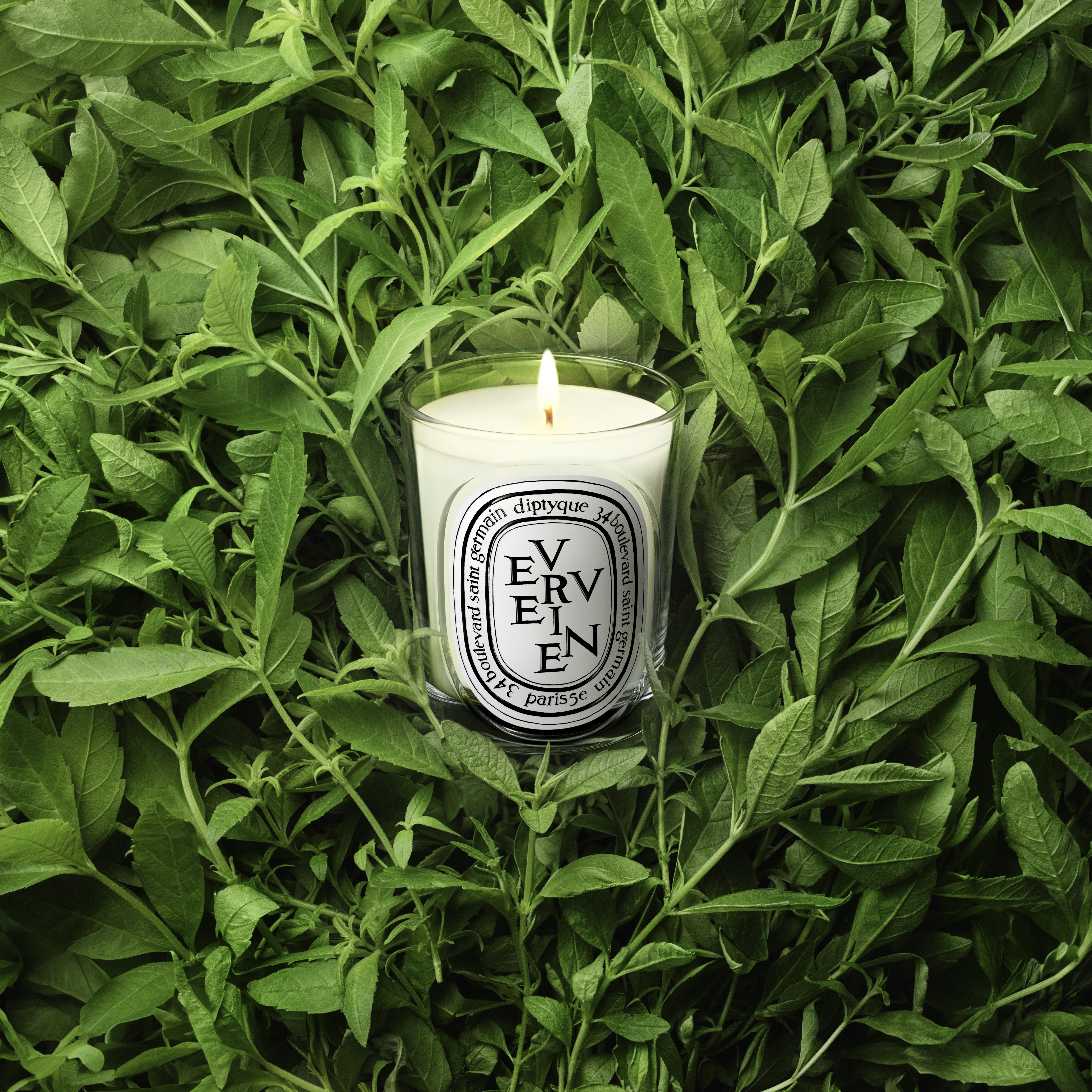Diptyque Verveine Classic Candle 190g | Space NK