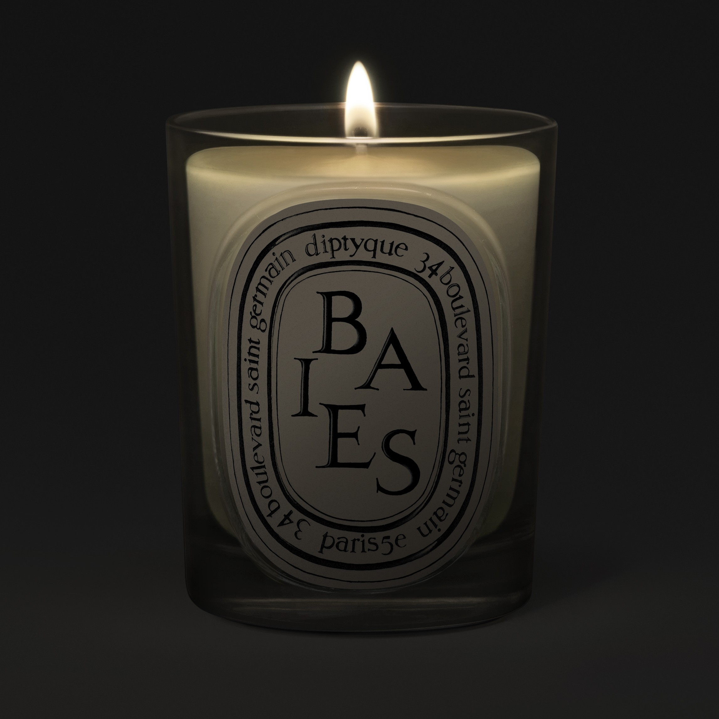 Diptyque Baies Classic Candle 190g | Space NK