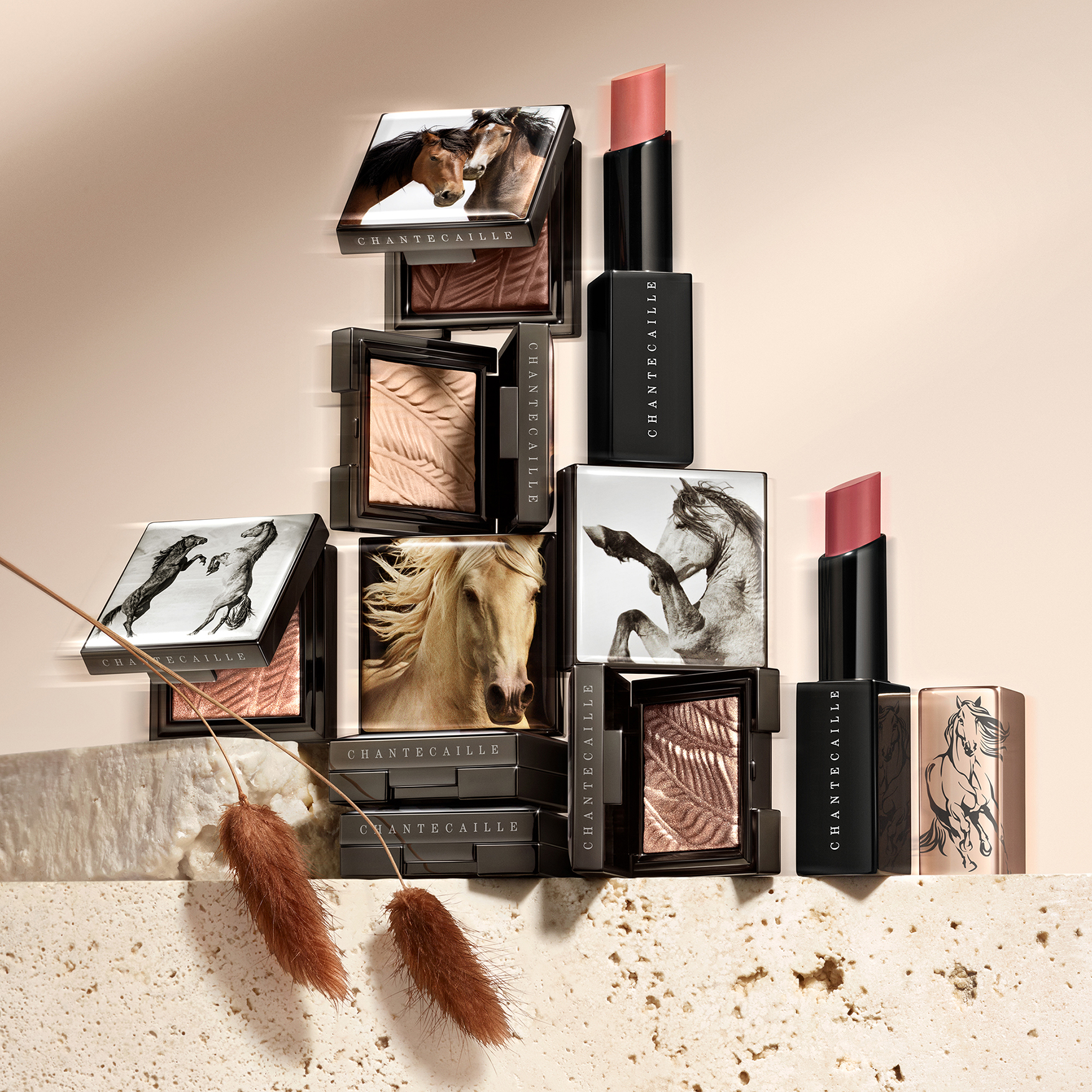 Chantecaille Wild Mustang Matte Eye Shade | Space NK