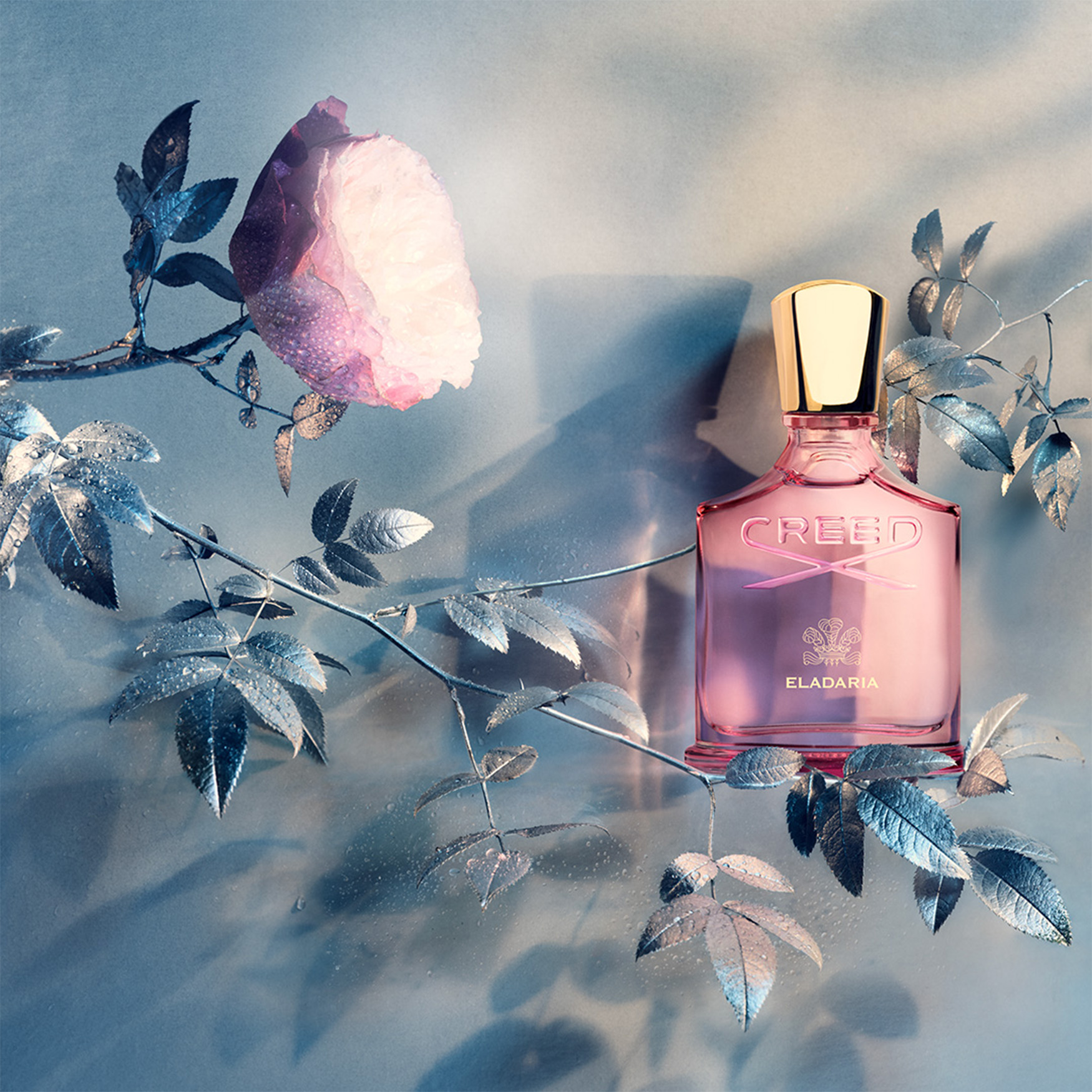Creed Eladaria Eau de Parfum | Space NK