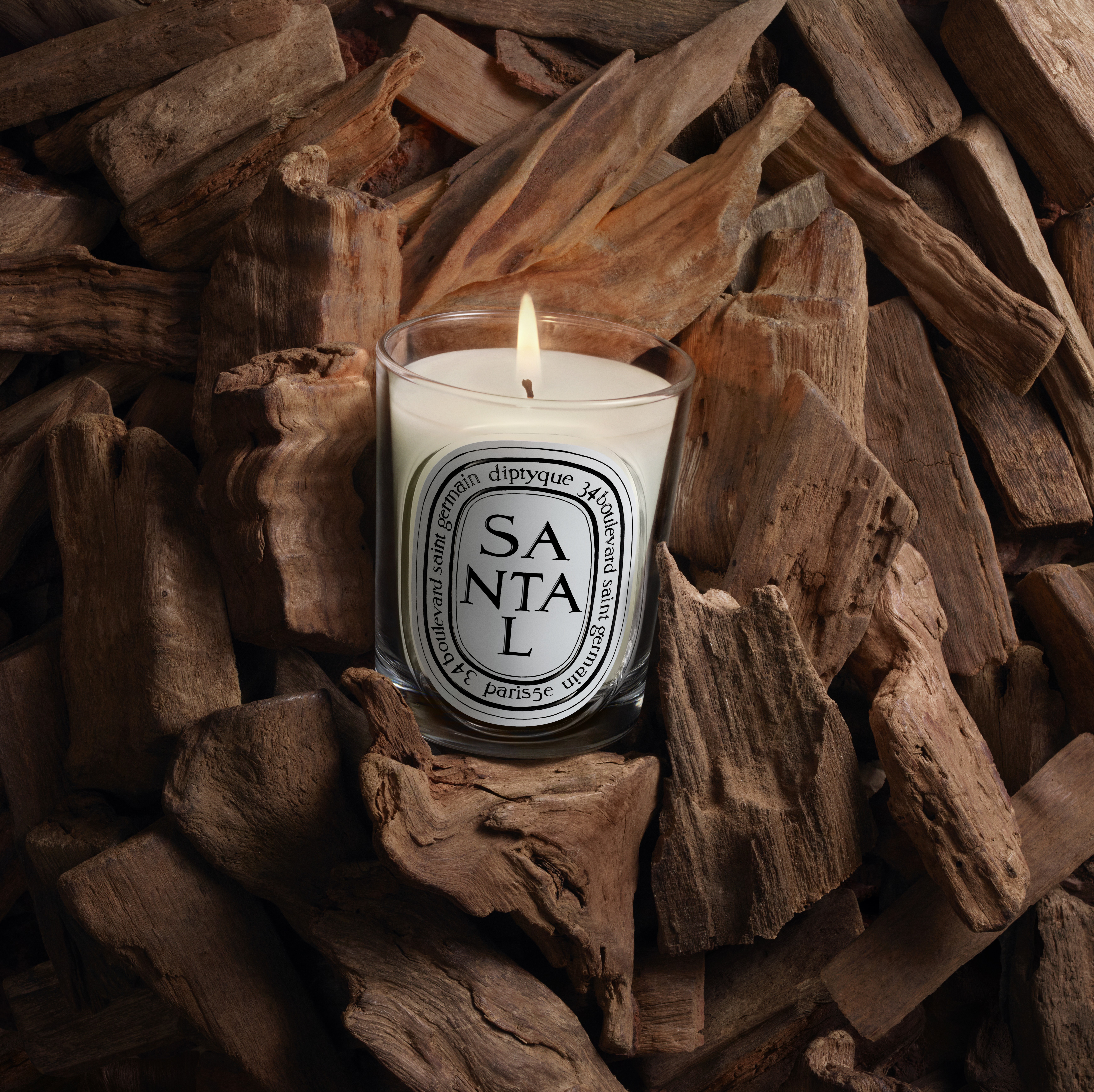 Diptyque Santal Classic Candle 190g | Space NK