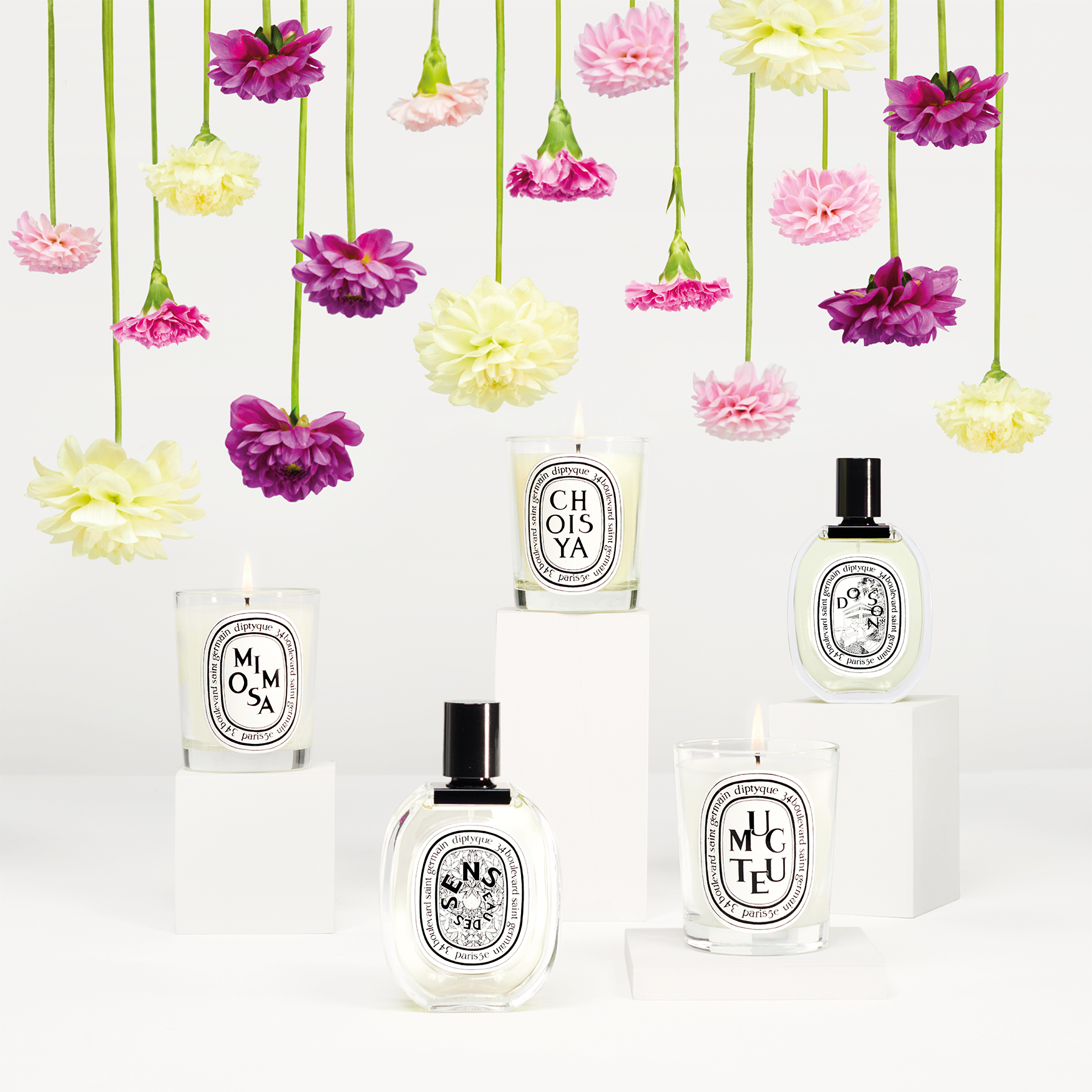 Diptyque sales mimosa perfume