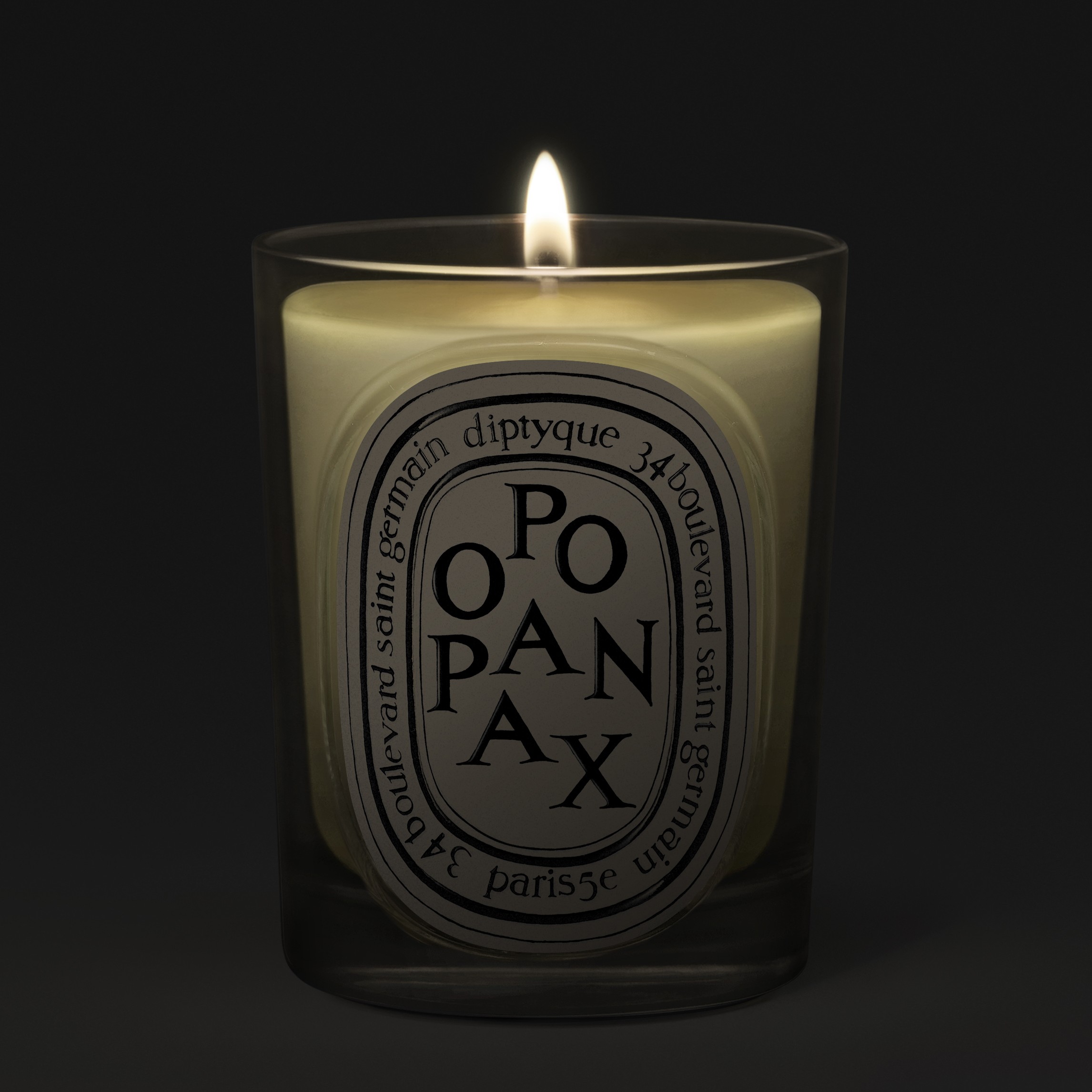 diptyque PATCHOULI アロマキャンドル 190g Patchouli（パチュリ） - クラシックキャンドル | Diptyque Paris