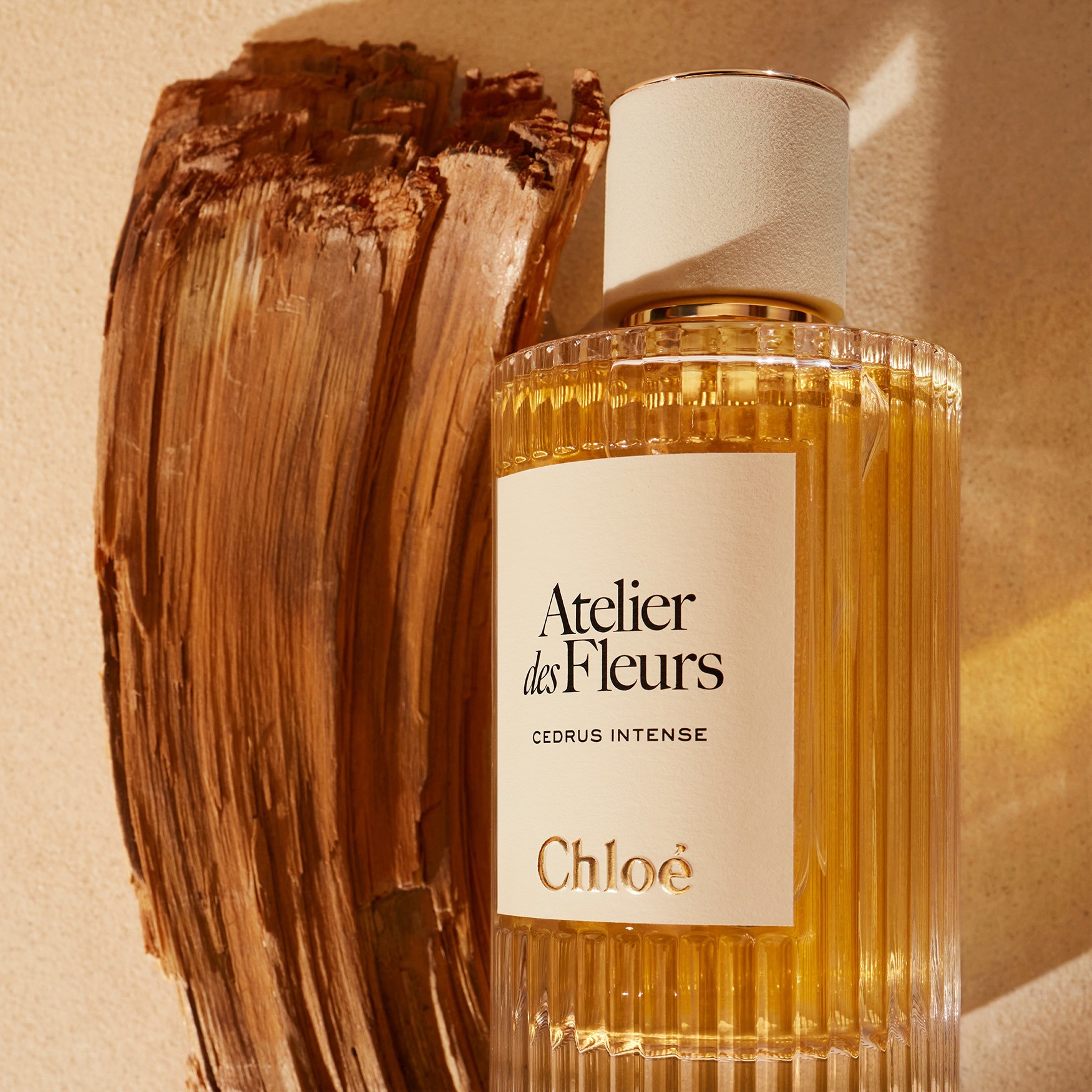 Chloé Atelier des Fleurs Cedrus Intense Eau de Parfum | Space NK