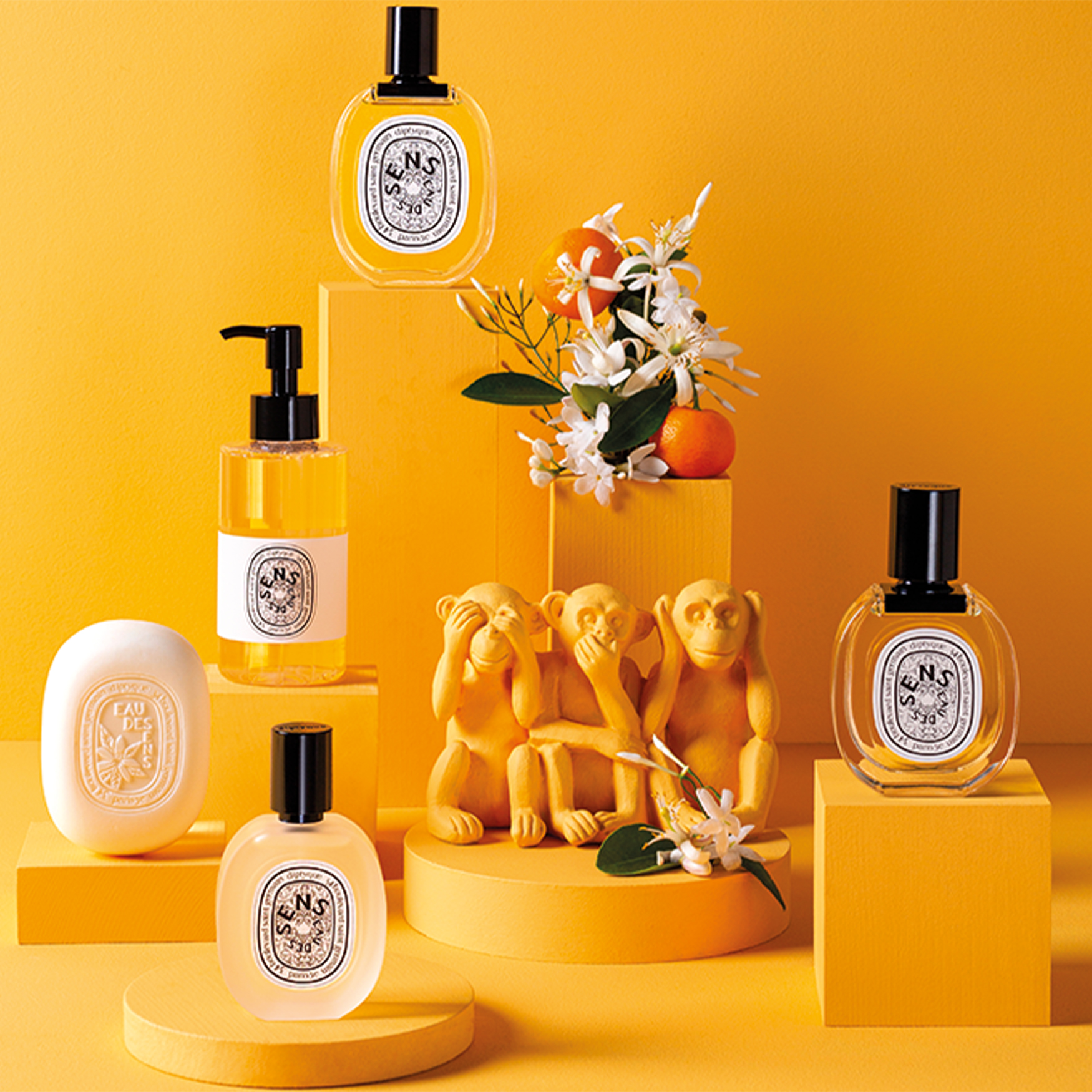 Diptyque Hair Mist Eau des Sens Space NK