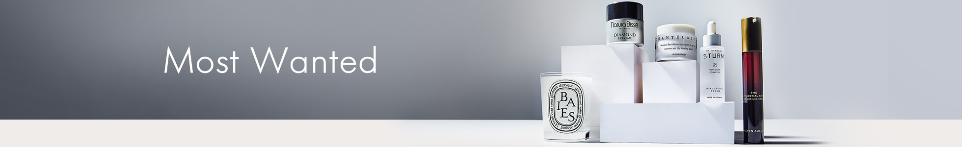 Promotional Banner